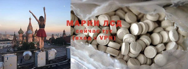 сатива Горняк