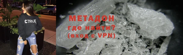 сатива Горняк
