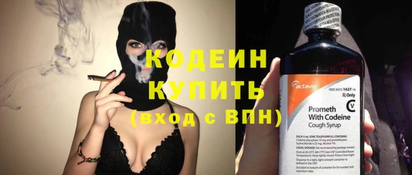 сатива Горняк