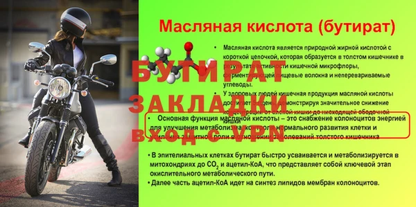 сатива Горняк