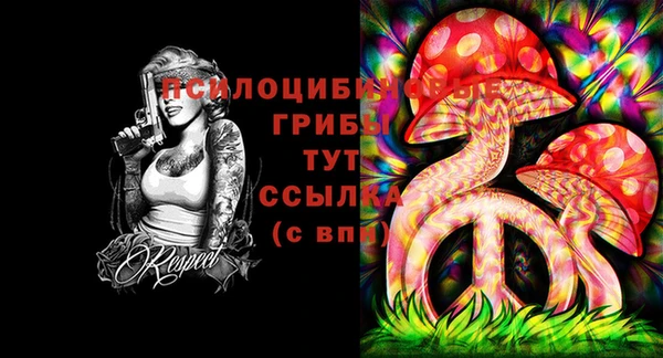 гидропоника Горно-Алтайск