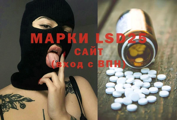 сатива Горняк