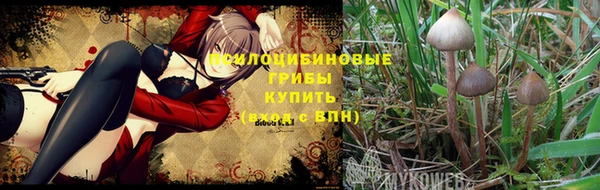 кокс Горнозаводск