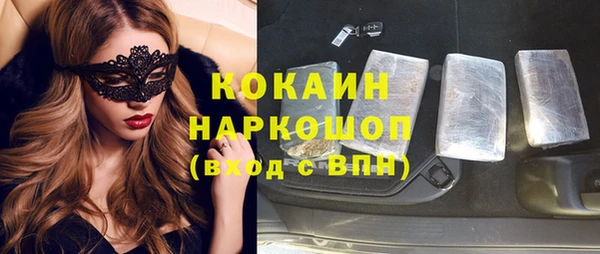 сатива Горняк