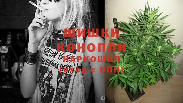 сатива Горняк